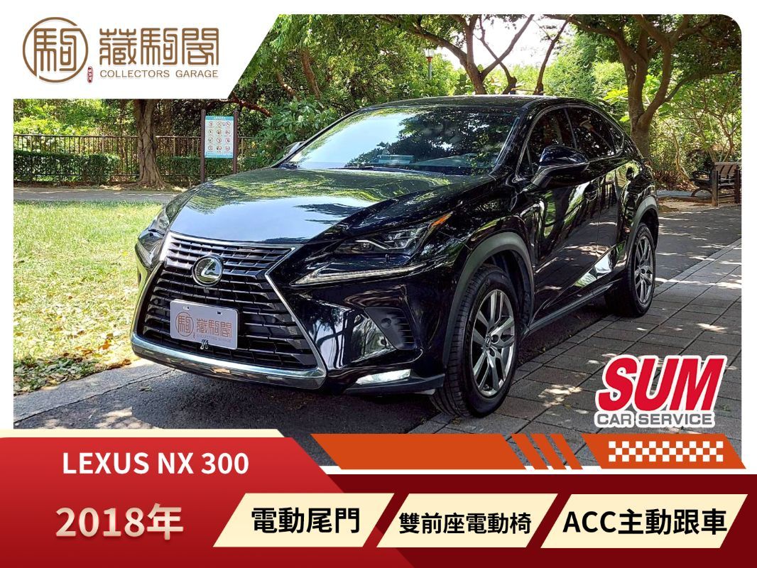 LEXUS NX300